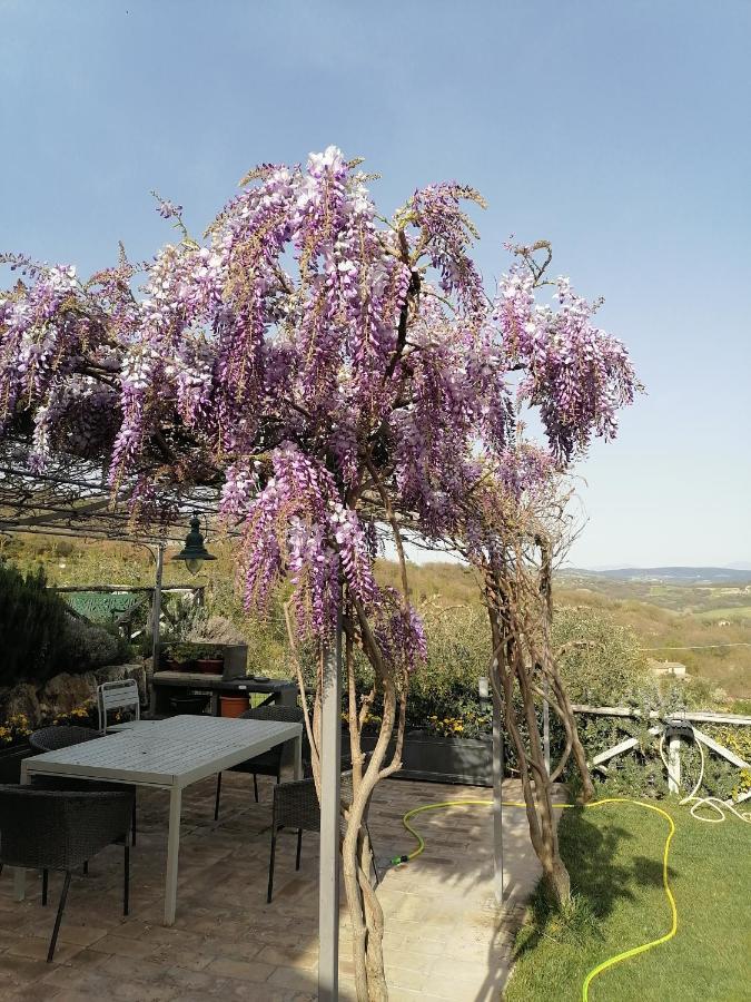 B&B Coldifiore Penna in Teverina Exterior foto